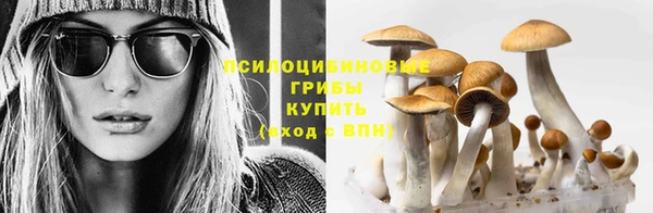 ECSTASY Кинешма