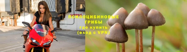 соль ск Карпинск