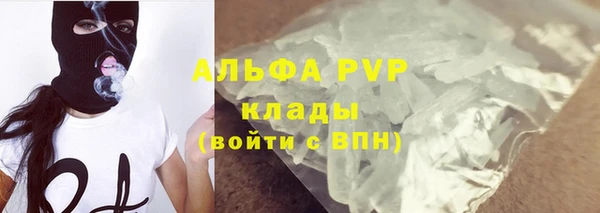 ECSTASY Кинешма