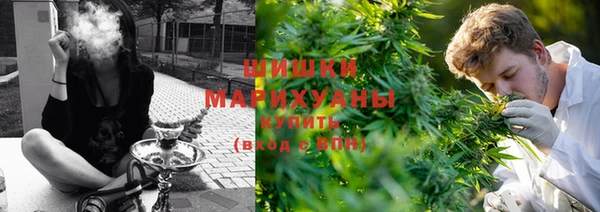 PSILOCYBIN Киреевск
