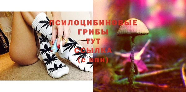 PSILOCYBIN Киреевск