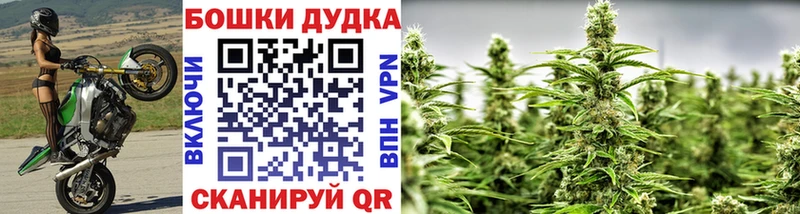 Купить где  Макушино  Бошки Шишки Ganja 